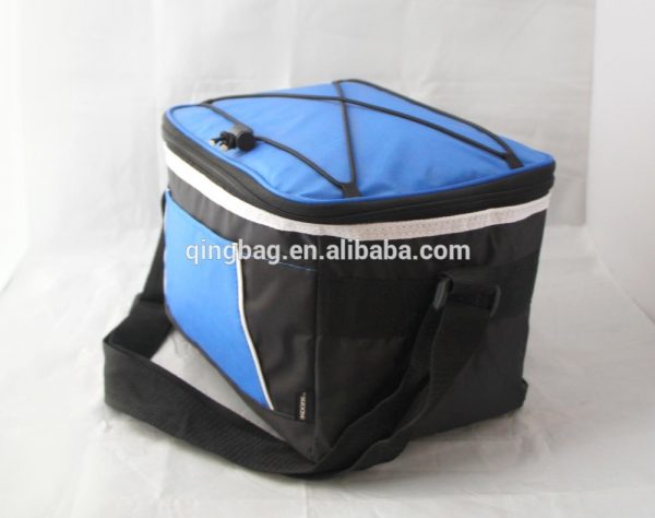 6 wine bottle can pack insulated cooler bag